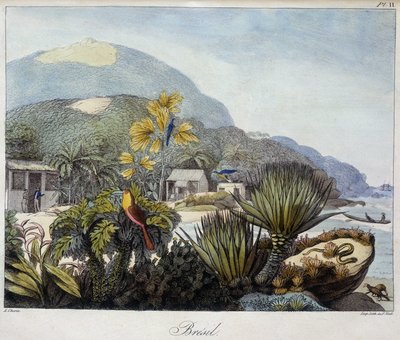 世界一周の旅で集められた春分の日の地域の景色と風景」のブラジルの景色、SD。19世紀 作： Unknown artist
