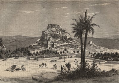19世紀末のアルジェリア、オラン県南部のOued el Golea (El Menia or El Menea formerly El Golea)の眺め - エングレービング 作： Unknown artist