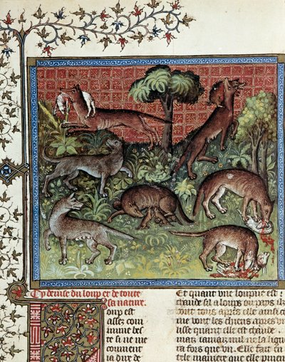 狼とその自然をモットーにしています。Gaston Phoebus (1331-1391) dit Gaston III Comte De Foixのミニチュア。 作： Unknown artist