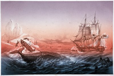 捕鯨船がクジラの救助に失敗して転覆した船 作： Unknown artist