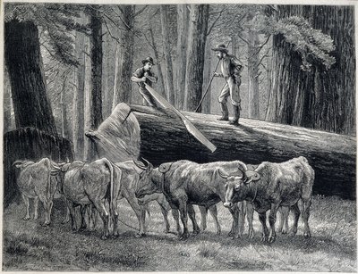 カリフォルニア州のレッドウッドの森にいる木工職人たち - 彫刻 作： Unknown artist