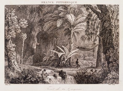 南米のフランス植民地ガイアナを描いたエングレーヴィング 1850年 作： Unknown artist