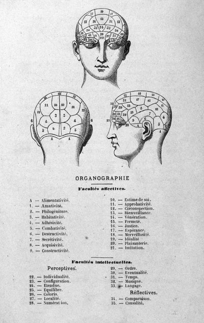 シャルル・ルーバンの1873年の著書『Organographie La Tête humanine』の挿絵。有名な人物に適用された骨相学と精神医学の図解研究。 作： Unknown artist