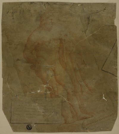 ヘラクレス 作： Unknown Italian