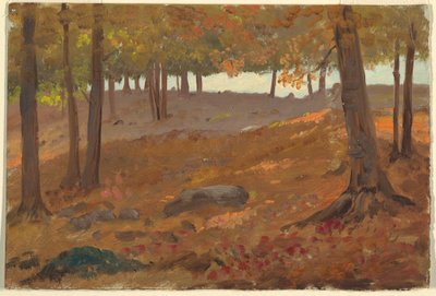 ドローイング、秋の森、1870-80年 作： Unknown artistUnknown artist