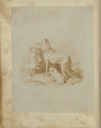 [5匹の犬の群れ］ 作： Unknown artist