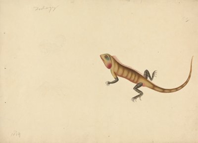 サソリとクモのスケッチを持つトカゲ 作： Unknown artist