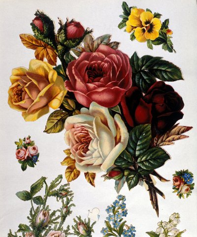 薔薇の花束19世紀のクロモリトグラフ。 作： Unknown artist