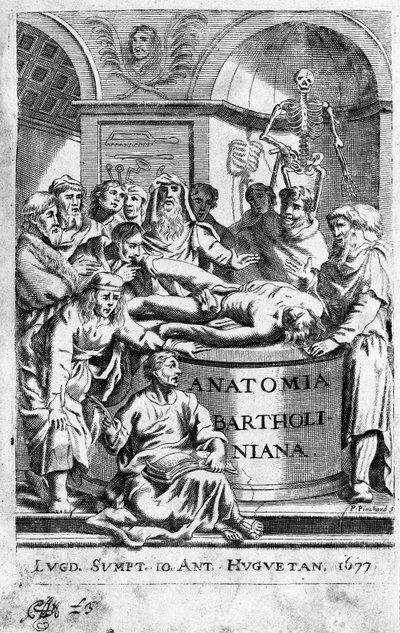 A lecon of anatomy Frontispice takes from "Anatomia Reformata" by Thomas Bartholin (1616-80) (Bartholinus) 1677年 作： Unknown artist