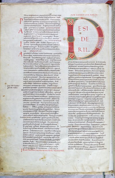 11世紀の聖書の大文字Dのページ 作： Unknown artist