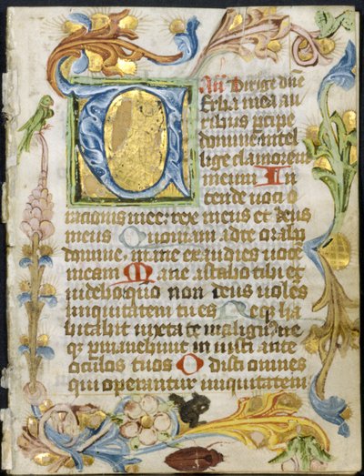 Book of Hours の Bifolio: 頭文字 V with Floral Border 作： Unknown artist