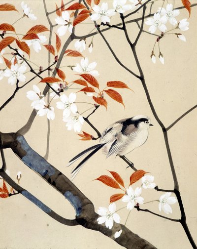 鳥と満開の桜 -日本画・李歐知夢筆 19世紀後半 作： Unknown artist