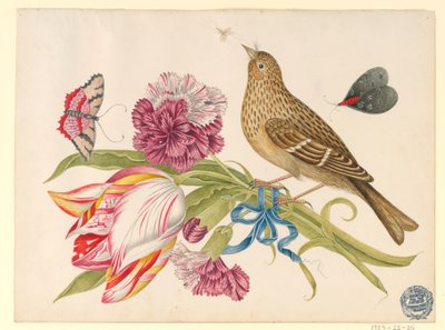 チューリップ、カーネーション、蝶、昆虫と鳥 作： Unknown artist