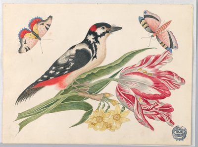 チューリップの茎に白黒のまだらにされた鳥、水仙と蝶 作： Unknown artist