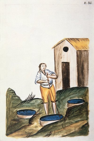 トルヒーヨ司教バルタサル・マルティネス・コンパニオン・イ・ブジャンダ（1782-1785）の著書「Trujillo del Peru」または「Códice Martínez Compañón」に掲載されている羊毛を染めるための青色の染料トレイ。 作： Unknown artist