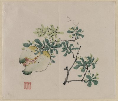 ザクロの枝 作： Unknown artist