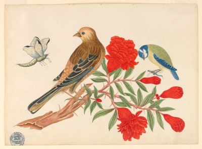 茶色と黒の鳥と赤い花を持つ枝の青と黄色の鳥、昆虫を狩る 作： Unknown artist