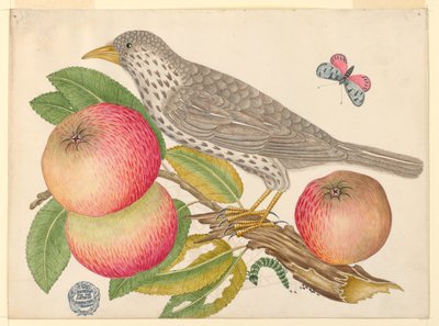 キャタピラーとリンゴの枝に茶色の鳥 作： Unknown artist