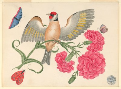 蝶とカーネーションの茎に赤い頭を持つ茶色の鳥 作： Unknown artist