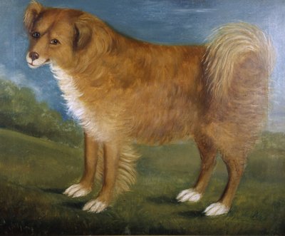 風景の中の茶色い犬」1850年頃（油彩・キャンバス 作： Unknown artist