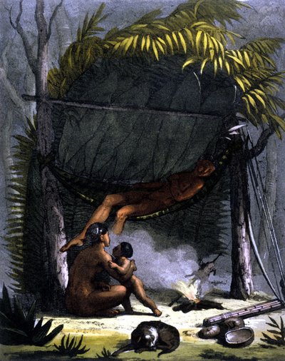 ブラジルの「Cabane des Puris」-フェラリオの「Le costume ancien et moderne」（ミラノ編）に掲載 作： Unknown artist