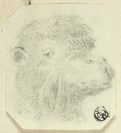 ラクダの頭（右向き 作： Unknown artist