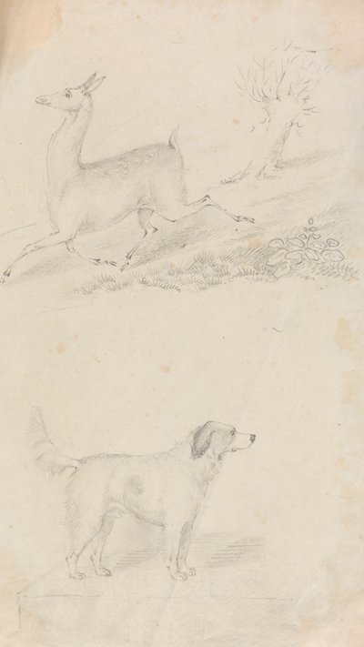 鹿と犬 作： Unknown artist