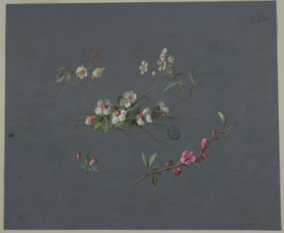 壁紙とテキスタイルのデザイン: 花 作： Unknown artist
