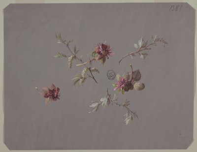 壁紙とテキスタイルのデザイン: 花 作： Unknown artist