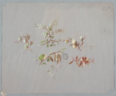 壁紙とテキスタイルのデザイン: 花 作： Unknown artist