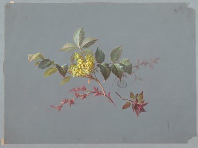 壁紙とテキスタイルのデザイン: 花 作： Unknown artist