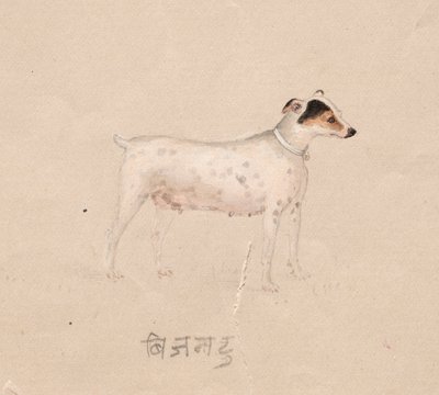 犬 作： Unknown artist