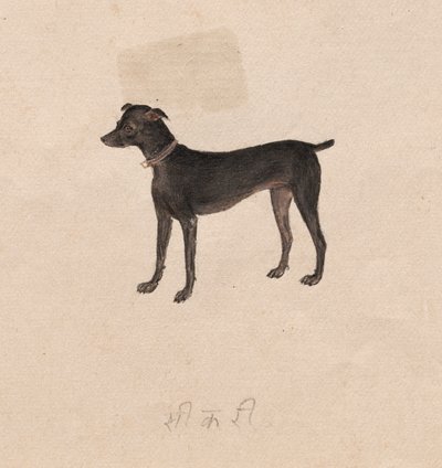 犬 作： Unknown artist