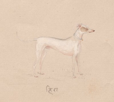 犬 作： Unknown artist