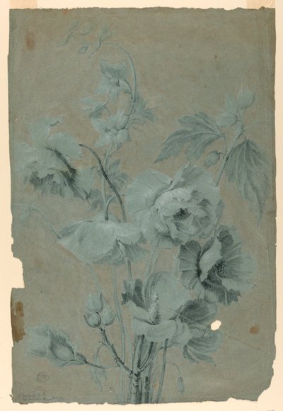 花のデザイン 作： Unknown artist