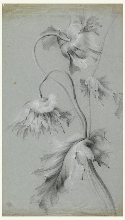 花のデザイン 作： Unknown artist