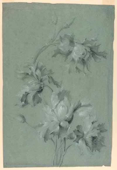 花のデザイン 作： Unknown artist