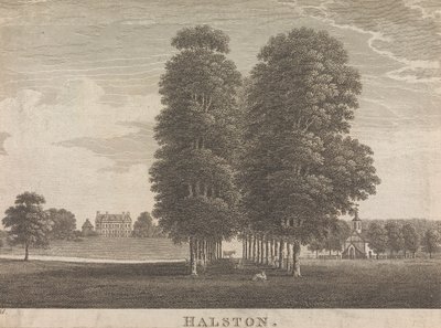Halston; sivu 22 (Kakkonen osa) 作： Unknown artist