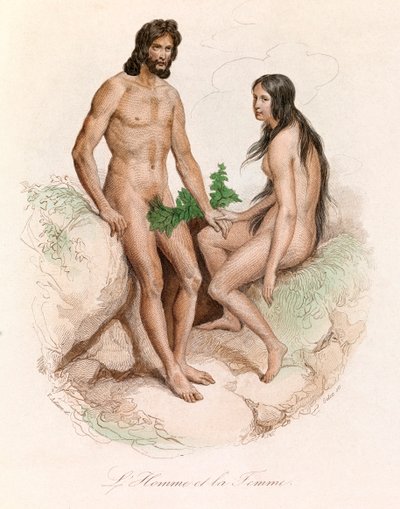 ビュフォン全集」からの挿絵：人間の自然史：男と女（エングレーヴィング） 作： Unknown artist