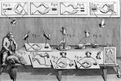 イタリアの物理学者・医師であるルイジ・ガルヴァーニ（1737〜1798）が、カエルの足に電流が流れることを説明した実験の図解。 作： Unknown artist