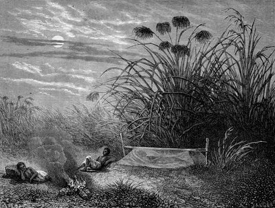 マソウムボにて。リビングストンの蚊帳-「ツール・ド・モンド」2期の「リビングストンの最後の旅1866-1873」。1875 作： Unknown artist