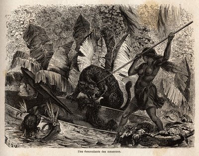 インディアンのティクナ（ペルー）は、自分のカヌーに飛び込んできた虎を槍で攻撃し、仲間に怪我をさせた。ニャモンドス川のティクナは、戦士の妻として評判が高いため、最初に観察した旅行者や学者は彼らをアマゾンと呼んだ。 作： Unknown artist
