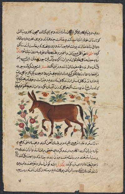Khar (施設)、Shahmarda ibn Abi al-Khair (機会) の nezhatnmi al-qaqi (Sinsal の優れた本) から 作： Unknown artist
