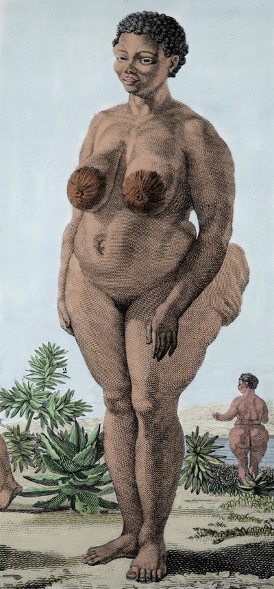 La Venus Hottentote, women of broad Bochiman; (The Hottentot Venus,) 1815年のエングレーヴィング。 作： Unknown artist