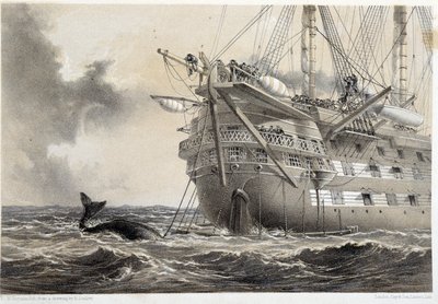 大西洋の電信ケーブル敷設、船の周りにクジラがいた 作： Unknown artist