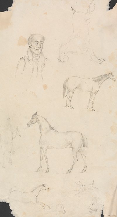 Homem, Cavalos e Cães 作： Unknown artist