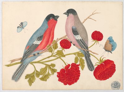 バラと蝶と枝に鳥のペア 作： Unknown artist
