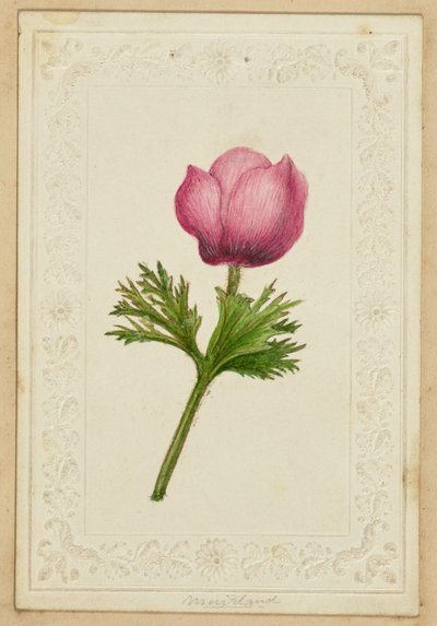 [ピンクの花のメモ用紙］ 作： Unknown artist