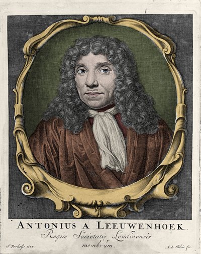 アントニー・ヴァン・レーウェンフック（Antonie Van Leeuwenhoek）、またはレーウェンフック（Leeuvenhoek）、またはレーウェンホーク（Leeuwenhoeck）の肖像。オランダの博物学者（1632-1723）。1722年の彫刻。 作： Unknown artist