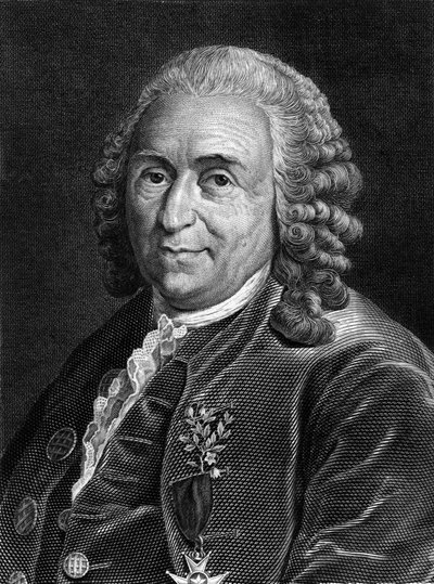カール・フォン・リンネの肖像 スウェーデンの博物学者・作家（1707～1778年）。19世紀のSd.エングレーヴィング。 作： Unknown artist